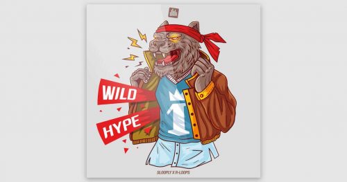 R-Loops Wild Hype