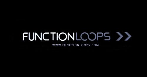 Get Free Vocal Loops From Function Loops